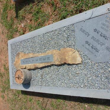 KETTERER Dinnie Johanna Adriana 1964-2014