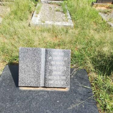 OTTO Olive H. nee STONE 1929-1970