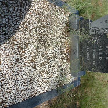 STRYDOM Andries P. 1887-1974