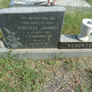 VORSTER Hercules Johannes 1895-1992 &amp; Elizabeth Johanna DE WITT 1903-1976