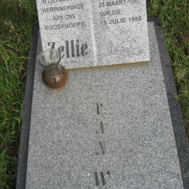 WYK Zellie, van 1987-1988