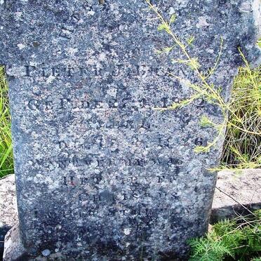 BRANDT Pieter J. 1872-1926