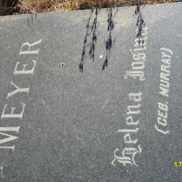 MEYER Helena Josina nee MURRAY 1893-1981