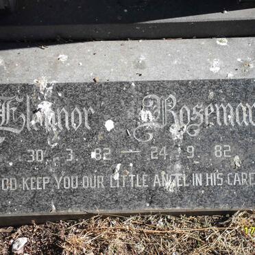 PERKINS Eleanor Rosemary, Charlton 1982-1882