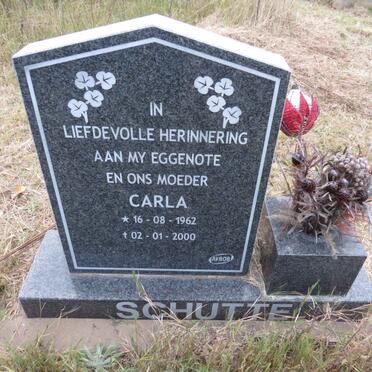 SCHUTTE Carla 1962-2000