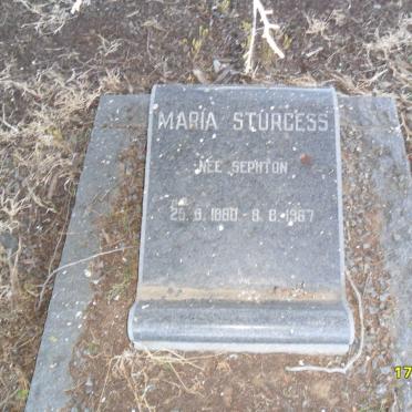 STURGESS Maria nee SEPHTON 1880-1967