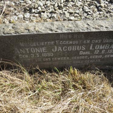 LOMBARD Antonie Jacobus 1890-1955