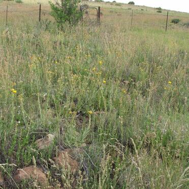 Free State, DEWETSDORP district, Unknown farm cemetery 12