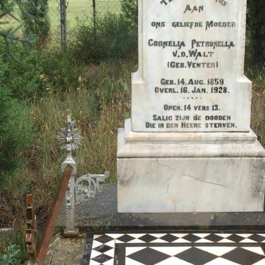 WALT Cornelia Petronella, v.d. nee VENTER 1859-1928