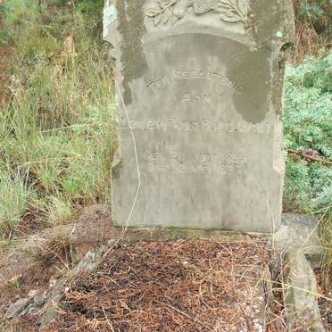 WALT Lodewikus H., v.d. 1895-1897