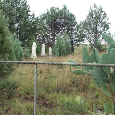 1. Oorsig / Overview