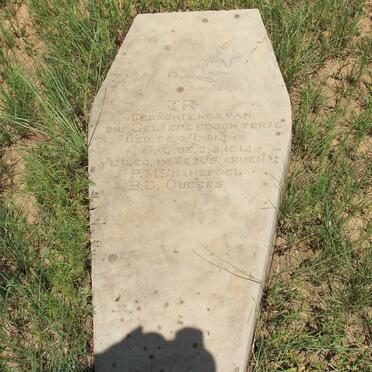 SWANEPOEL Dogter 1914-1914