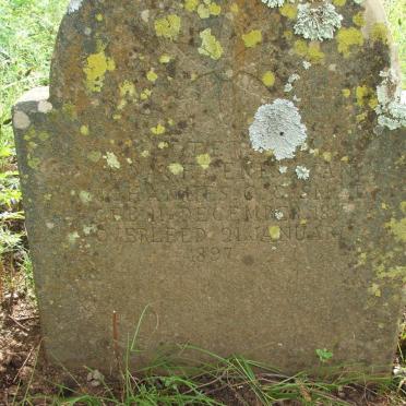 SMAL Johannes G. 1877-1897