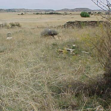 1. Oorsig / Overview