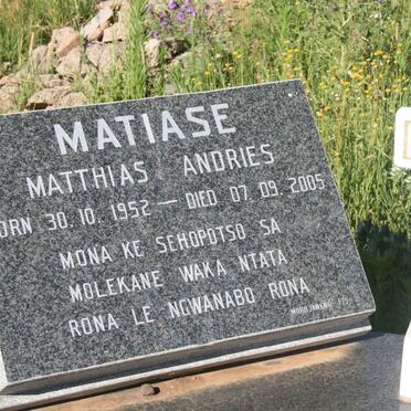 M - Surnames :: Vanne - M