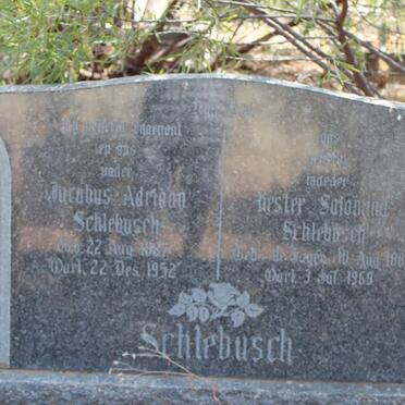 SCHLEBUSCH Jacobus Adriaan 1887-1952 &amp; Hester Salomina 1889-1969