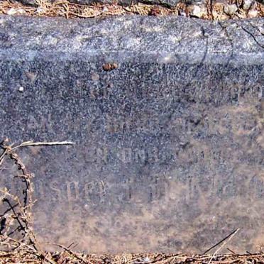 ? Jasper