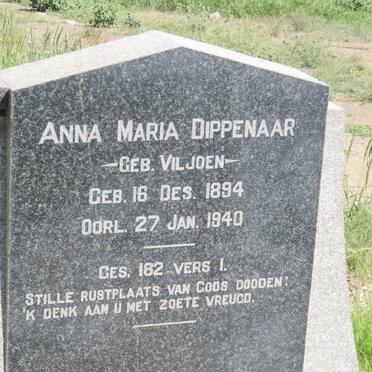 DIPPENAAR Jan Lodewyk 1890-1964 &amp; Anna Maria VILJOEN 1894-1940
