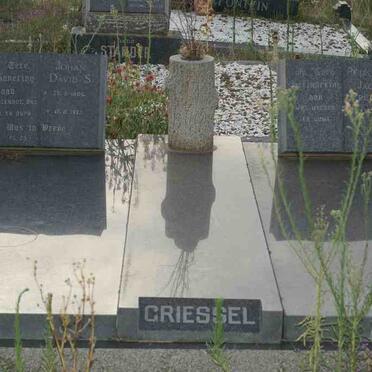 GRIESSEL Johan David S. 1896-1973 &amp; Petronella Jacoba PRETORIUS 1903-