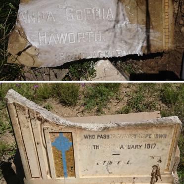 HAWORTH Anna Sophia nee ACKERMAN -1917
