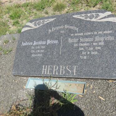 HERBST Andries Jacobus Petrus 1888-1964 &amp; Hester Susanna Magrietha ERASMUS 1888-1948