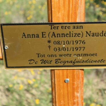 NAUDE Anna E. 1976-1977