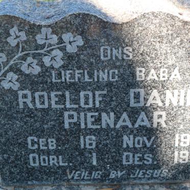 PIENAAR Roelof Daniel 1951-1951