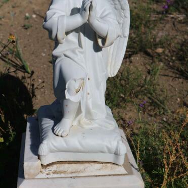 SEADY Farris Joseph 1913-1914