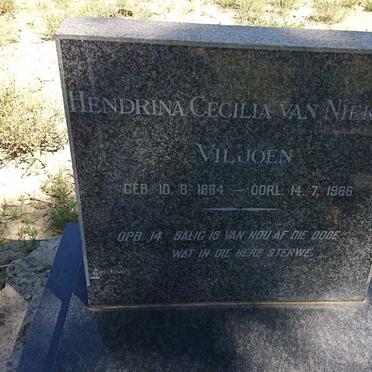 VILJOEN Hendrina Cecilia nee VAN NIEKERK 1884-1966