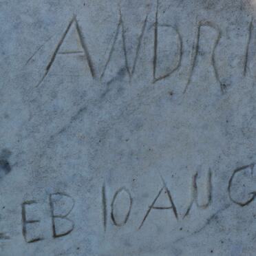 VENTER Andrijs 1937-1938