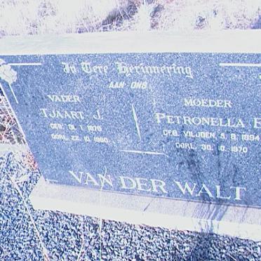 WALT Tjaart J., van der 1878-1980 &amp; Petronella E. VILJOEN 1894-1970