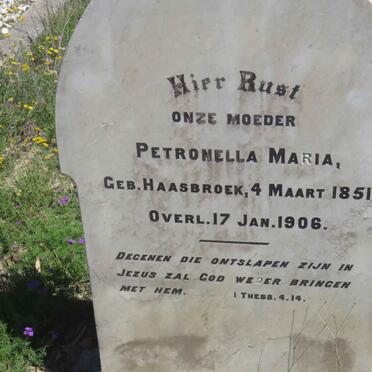 ? Petronella Maria nee HAASBROEK 1851-1906