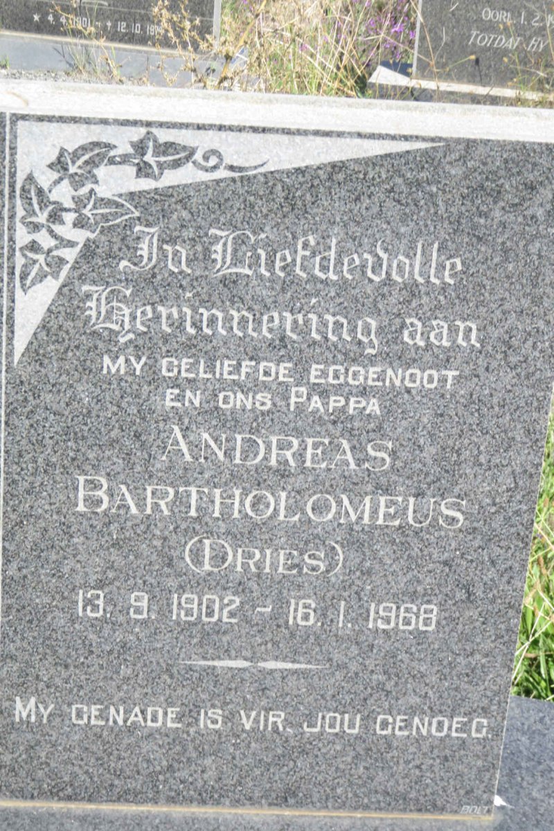 ORLANDINI Andreas Bartholomeus 1902-1968 &amp; Margaretha Elizabeth COERTZEN 1917-1990