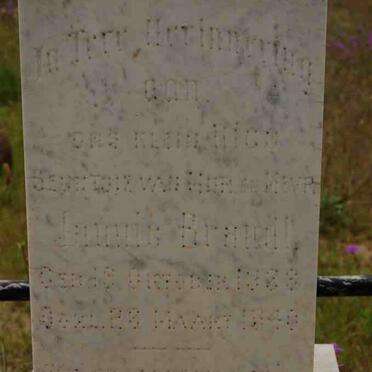 BRANDT Nico 1938-1940