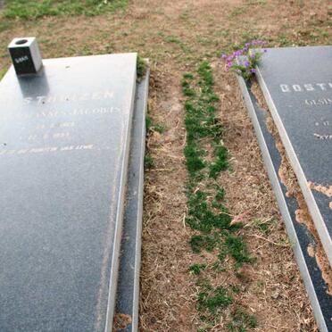 O - Surnames :: Vanne - O