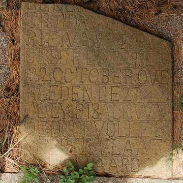 STIJN Troida W. Riena 1893-1918