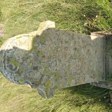 CLAYTON ?th? Lowrence 1914-1914