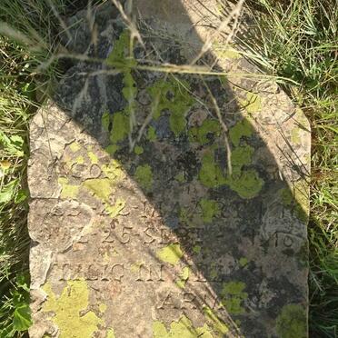 N - Vanne :: Surnames - N