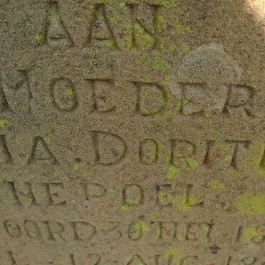 SWANEPOEL Maria Dorithea nee FOORD 1853-1945