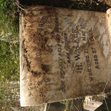 W - Surnames :: Vanne - W