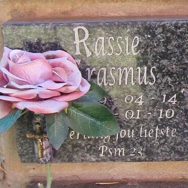 ERASMUS Rassie