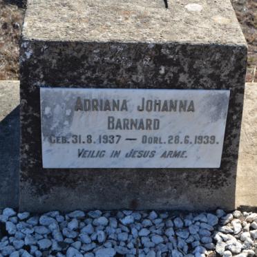 BARNARD Adriana Johanna 1937-1939