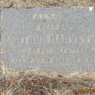 HARVEY Arthur