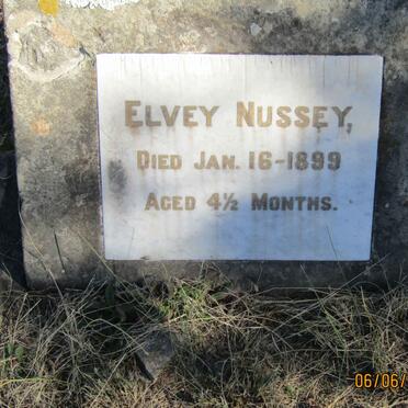 NUSSEY Elvey -1899