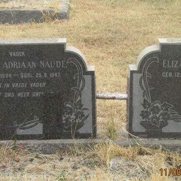 NAUDE Willem Adriaan 1884-1947 &amp; Elizabeth C.M. GIBBARD 1896 -19?