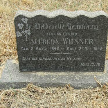 WIESNER Alfreda 1946-1948