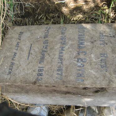 BOTHA Adriana C. 1877-1883