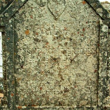 VENTER J.E. 1918-1919