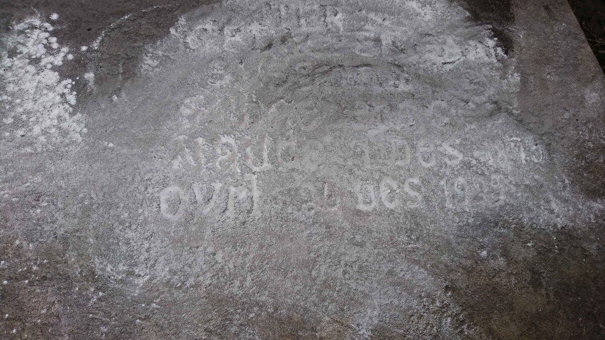 SCHEEPERS Susanna nee NAUDE 18?5-1939