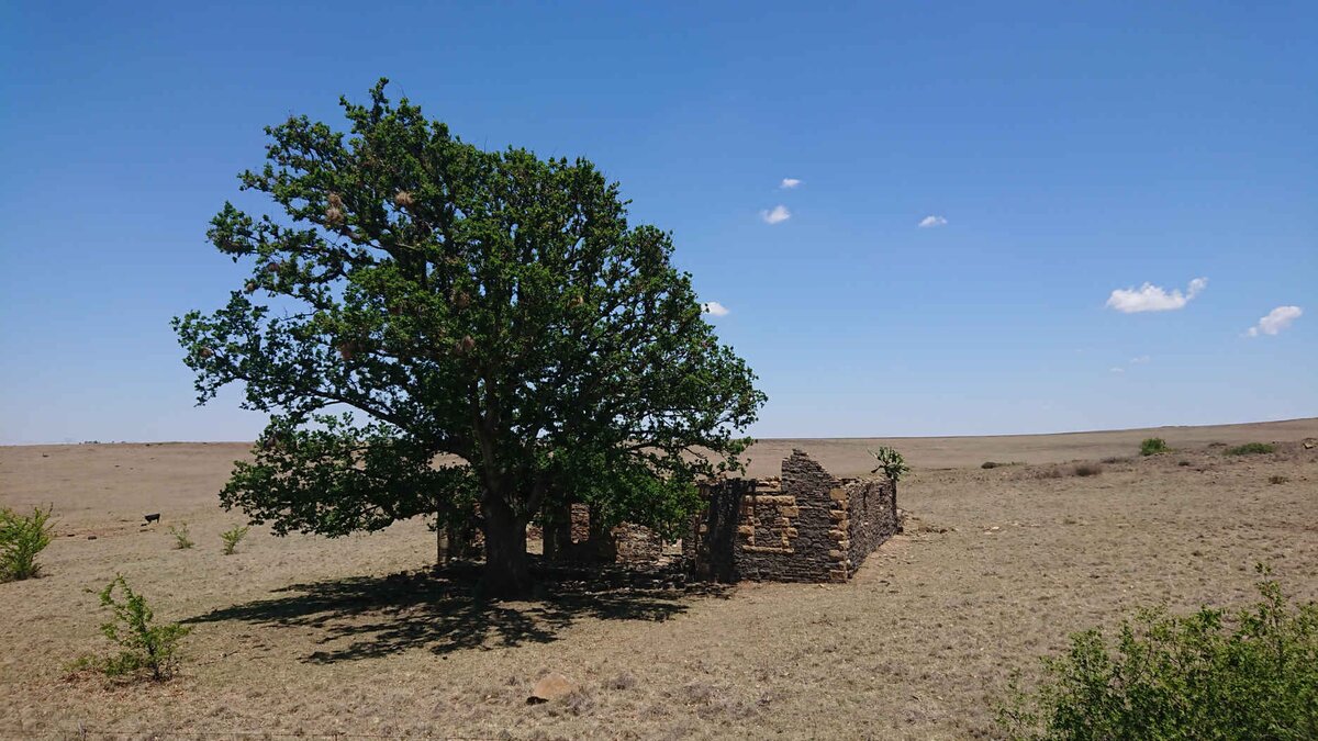 1. Overview / Oorsig